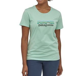Patagonia shirt